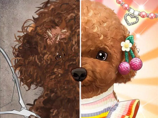 Maître en maquillage pour animaux